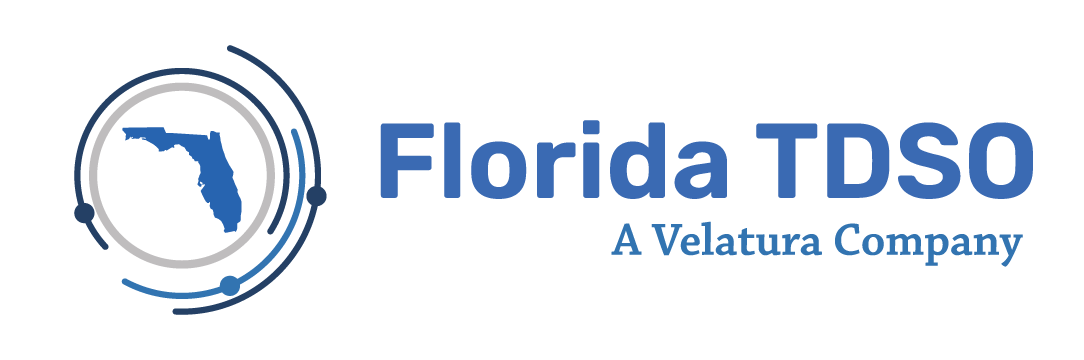 Florida TDSO — Digital Prosperity Platform